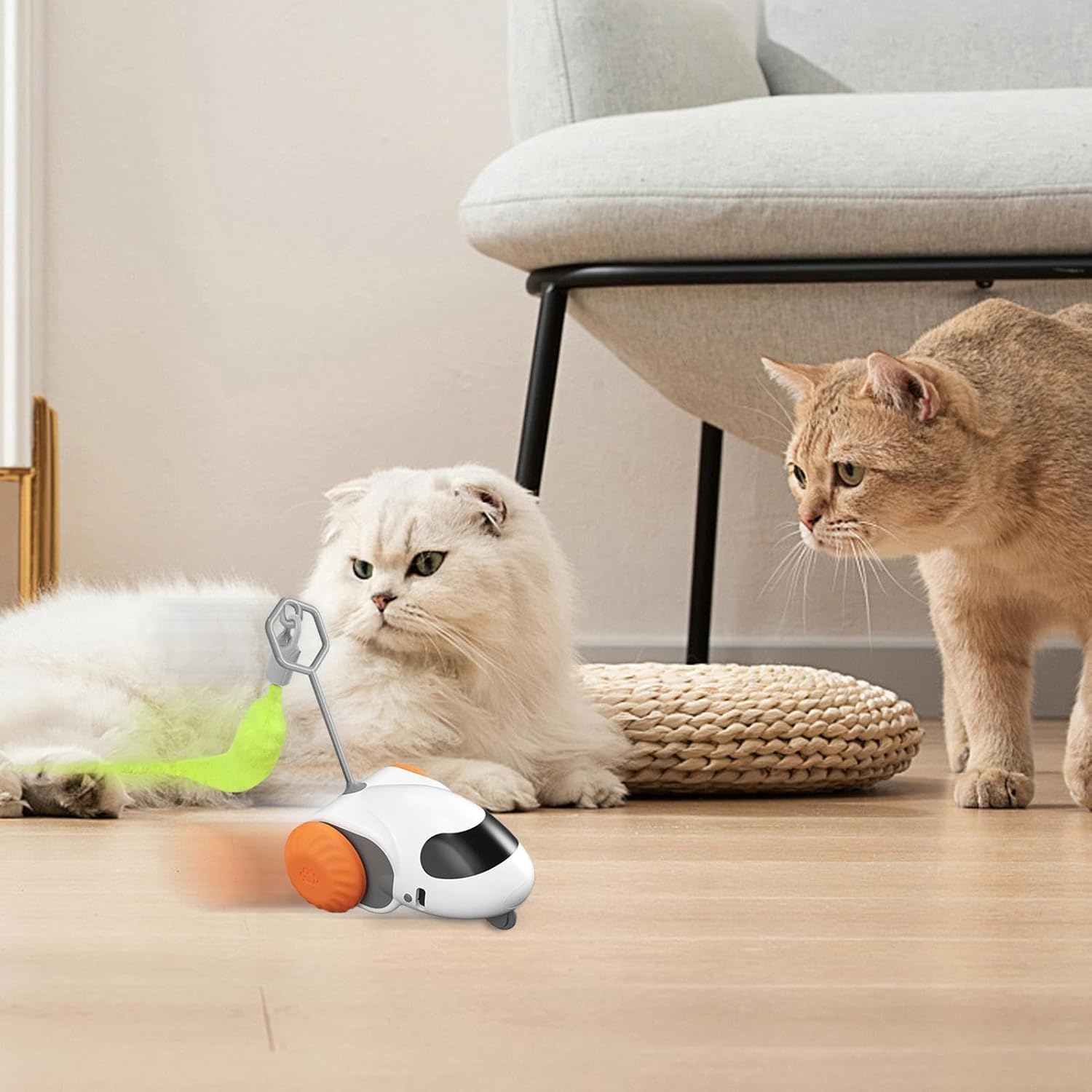 WhiskerChase - Elektrisch Kattenspeeltje