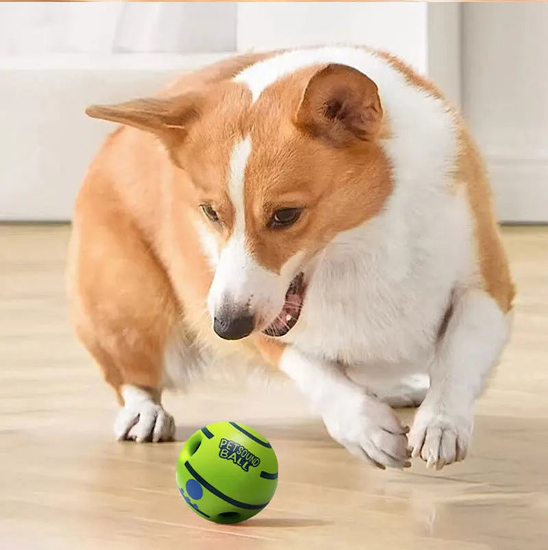 PawBall - Slimme Speelbal