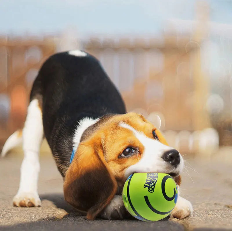 PawBall - Slimme Speelbal