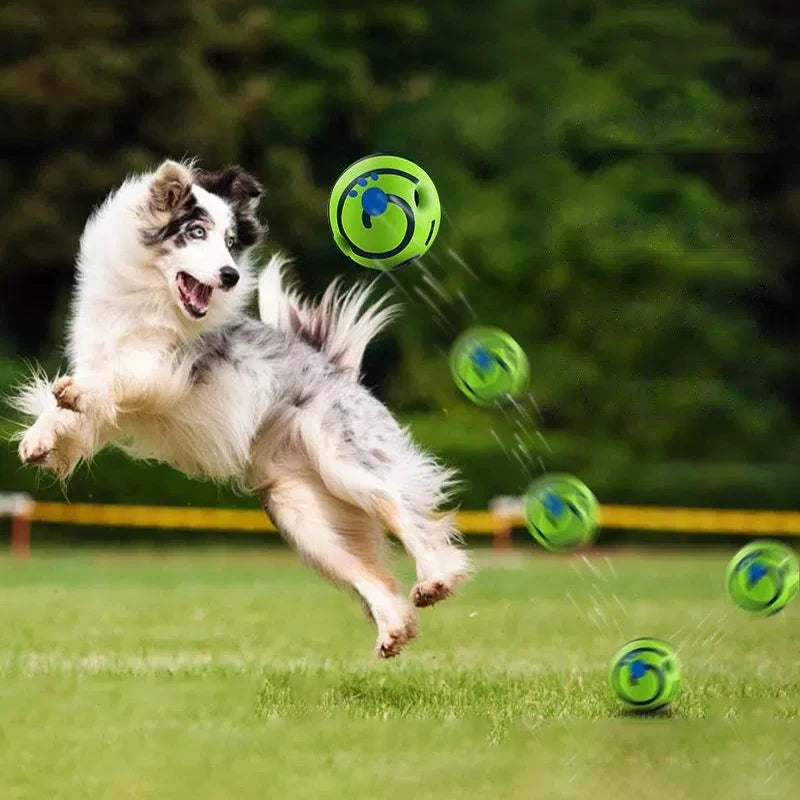 PawBall - Slimme Speelbal