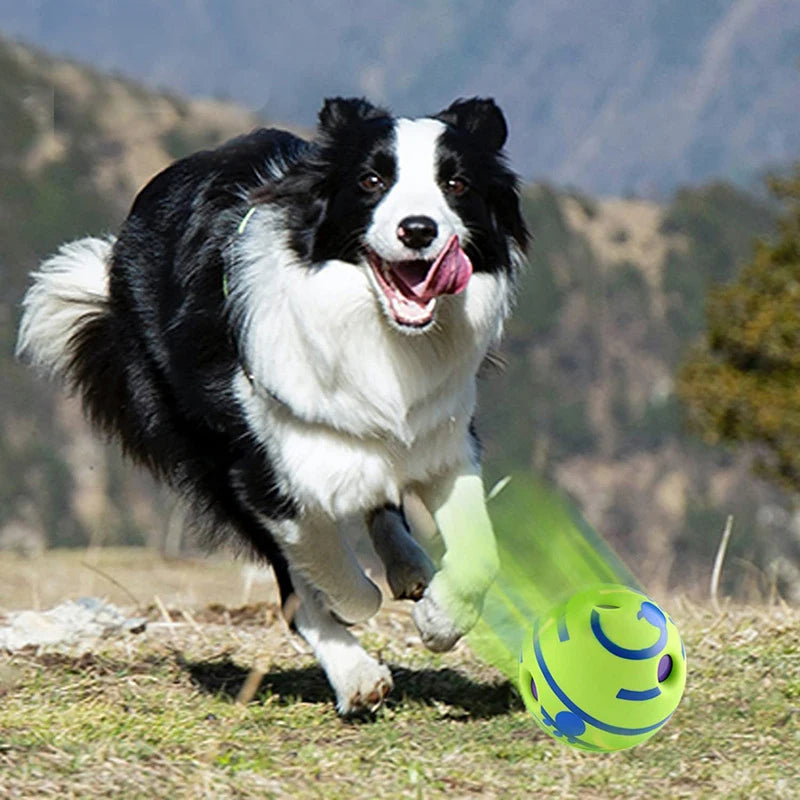 PawBall - Slimme Speelbal