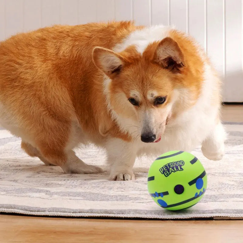 PawBall - Slimme Speelbal