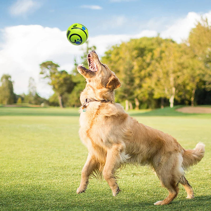 PawBall - Slimme Speelbal