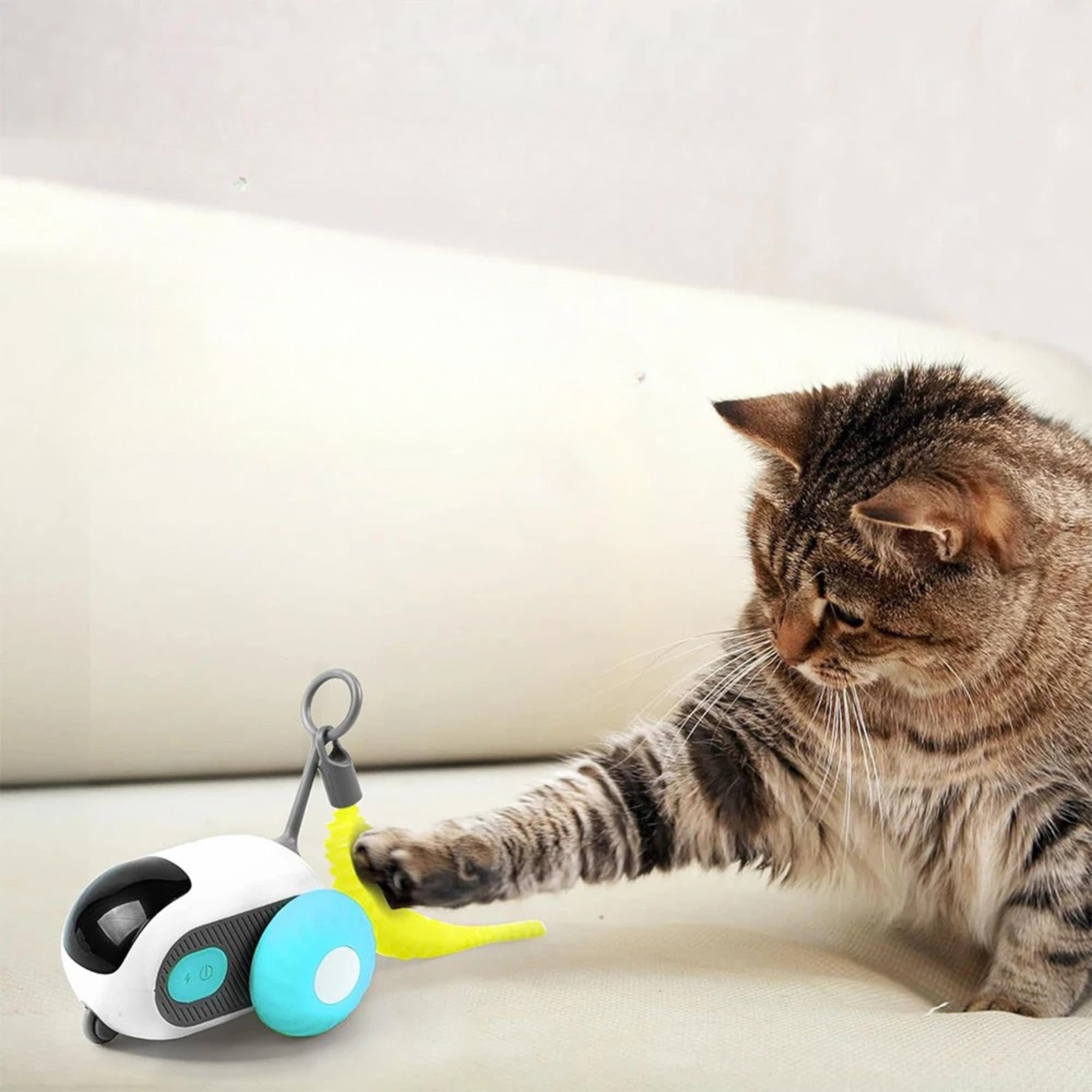 WhiskerChase - Elektrisch Kattenspeeltje