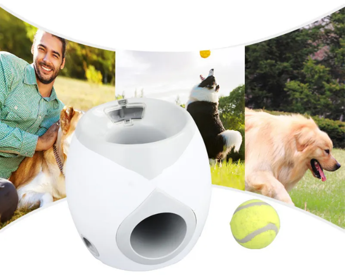 FetchMaster - Automatische Ballenwerper Voor Honden