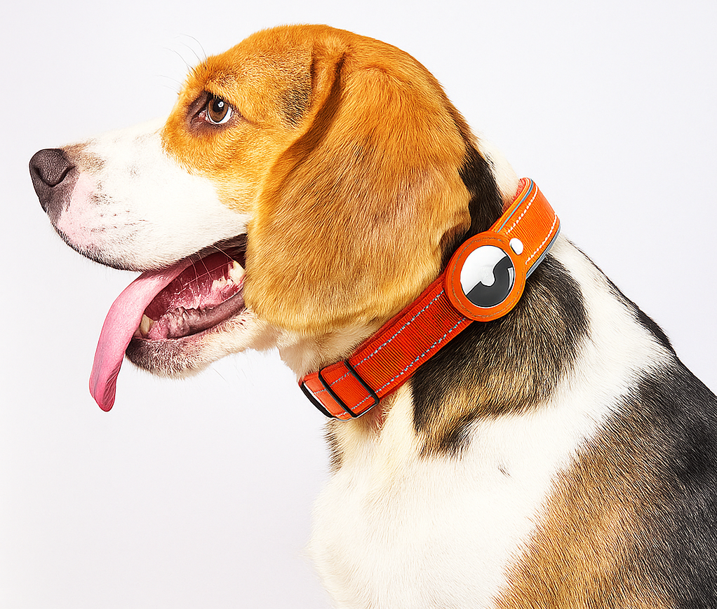 ComfortLine Hondenriem met AirTag Houder
