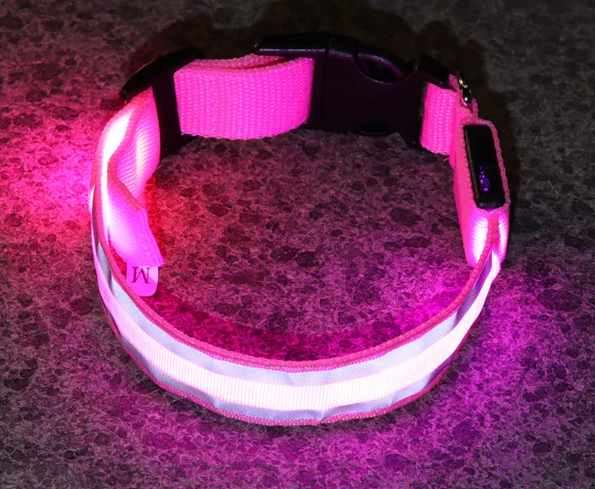 BrightPup LED Hondenhalsband – USB Oplaadbaar in 5 Kleuren