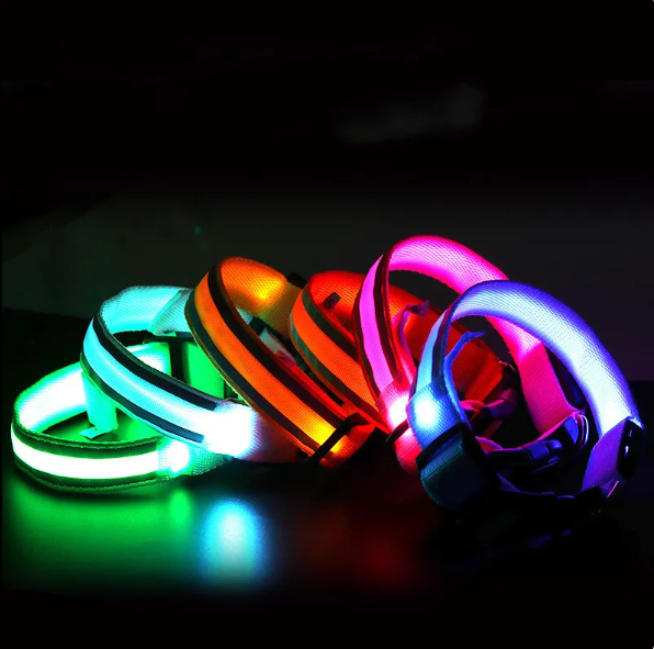 BrightPup LED Hondenhalsband – USB Oplaadbaar in 5 Kleuren