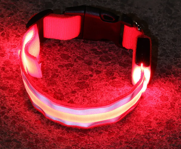 BrightPup LED Hondenhalsband – USB Oplaadbaar in 5 Kleuren