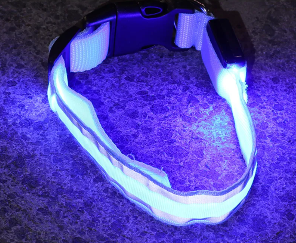 BrightPup LED Hondenhalsband – USB Oplaadbaar in 5 Kleuren