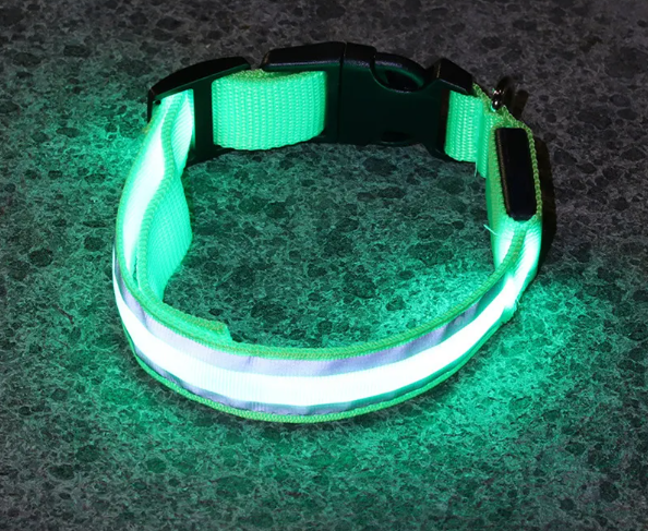 BrightPup LED Hondenhalsband – USB Oplaadbaar in 5 Kleuren