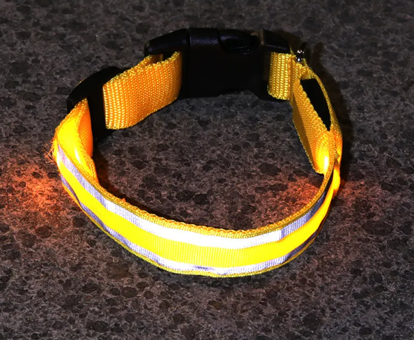 BrightPup LED Hondenhalsband – USB Oplaadbaar in 5 Kleuren