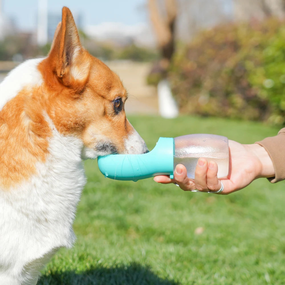 Sip & Go – De Draagbare Drinkoplossing voor Honden en Katten