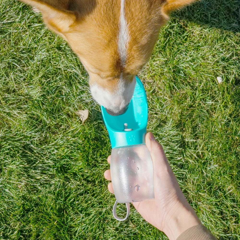 Sip & Go – De Draagbare Drinkoplossing voor Honden en Katten