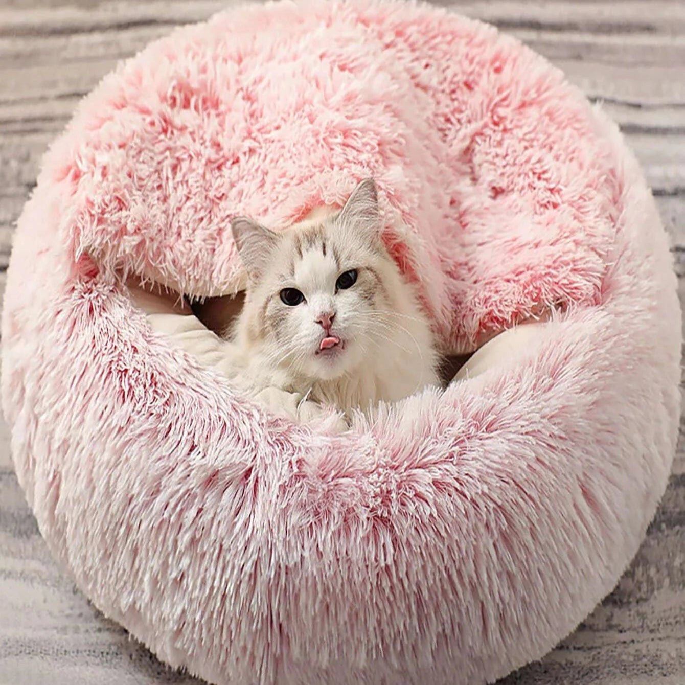 CozyPaw Nest – Ronde Kattenmand